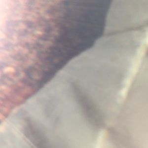 Meet your Posher, Angel